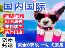 宜宾五粮液空运地址国际宠物托运 【国